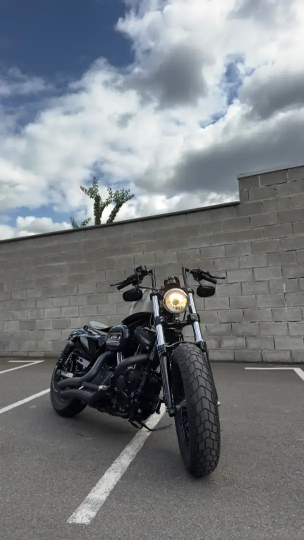 Harley-Davidson 1200 Custom FORTY-EIGHT CRUISER Beżowy - 1