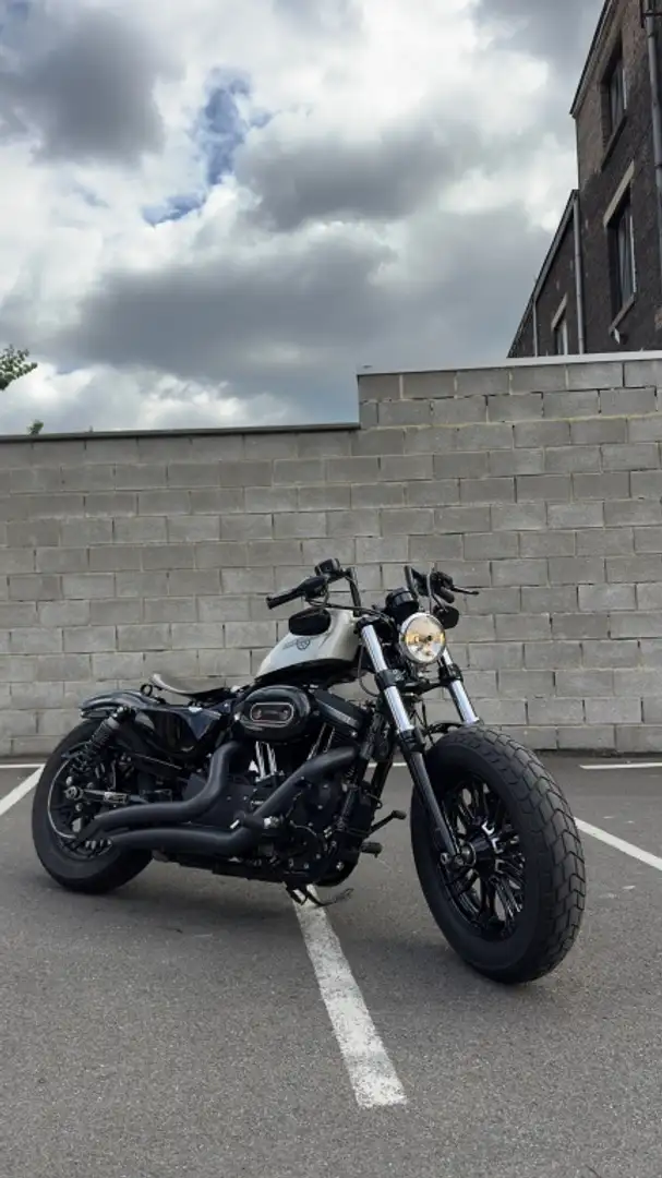 Harley-Davidson 1200 Custom FORTY-EIGHT CRUISER Beżowy - 2