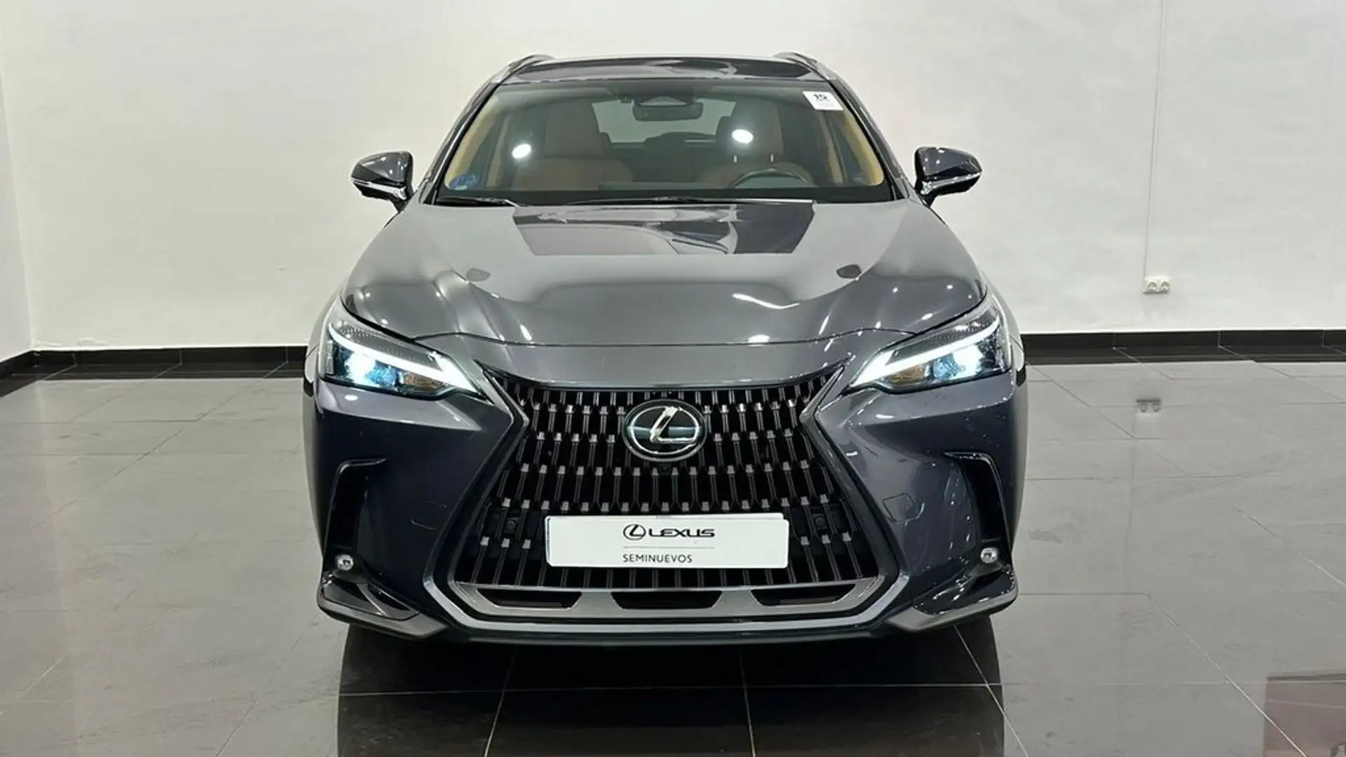 Lexus NX 450h+ 4WD EXECUTIVE Grau - 2