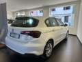 Fiat Tipo Tipo 5 porte II 2016 5p 1.4 tjt Lounge s Білий - thumbnail 3