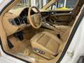 Porsche Panamera 3,0 Diesel Aut. *MEGA-VOLL*KREDIT-GARANTIE*TV* Weiß - thumbnail 29