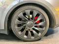 Tesla Model Y Model Y Performance Dual Motor awd - thumbnail 6