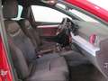 SEAT Ibiza 1.0 TSI S&S FR XS 110 Rojo - thumbnail 5