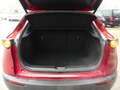 Mazda CX-3 Mazda CX-30*Navi*LED*Fin. ab 149€ Rot - thumbnail 22
