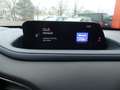 Mazda CX-3 Mazda CX-30*Navi*LED*Fin. ab 149€ Rot - thumbnail 21