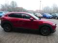 Mazda CX-3 Mazda CX-30*Navi*LED*Fin. ab 149€ Rot - thumbnail 5