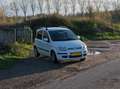 Fiat Panda Panda 1.2 Edizione Cool Wit - thumbnail 12