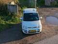 Fiat Panda Panda 1.2 Edizione Cool Wit - thumbnail 11