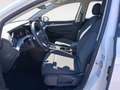 Volkswagen Golf VIII 1.5 eTSI DSG Facelift Life *App-Connec Weiß - thumbnail 10