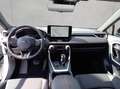Toyota RAV 4 Plug-in-Hybrid Teamplayer Bianco - thumbnail 13