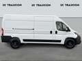 Peugeot Boxer 3.5T L342 140 Pk Man.6 [STOCK] Bianco - thumbnail 4