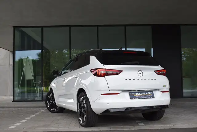 Opel Grandland view 6