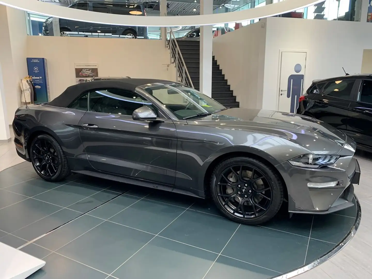 Ford Mustang 2.3 Ecoboost 290PK Automaat Cabrio Navi+Camera+Cli Gris - 1