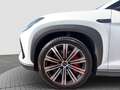 BYD Sealion 7 Excellence Weiß - thumbnail 20