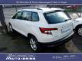 Skoda Karoq Ambition mit AHK/PTS/Tempomat/DAB Weiß - thumbnail 23