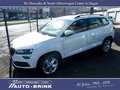 Skoda Karoq Ambition mit AHK/PTS/Tempomat/DAB Weiß - thumbnail 8