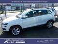 Skoda Karoq Ambition mit AHK/PTS/Tempomat/DAB Weiß - thumbnail 9