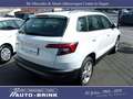 Skoda Karoq Ambition mit AHK/PTS/Tempomat/DAB Weiß - thumbnail 7