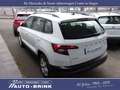 Skoda Karoq Ambition mit AHK/PTS/Tempomat/DAB Weiß - thumbnail 10