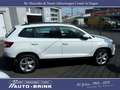 Skoda Karoq Ambition mit AHK/PTS/Tempomat/DAB Weiß - thumbnail 4
