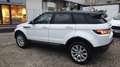 Land Rover Range Rover Evoque Range Rover Evoque  5p 2.0 td4 HSE Dynamic 150cv Bianco - thumbnail 4