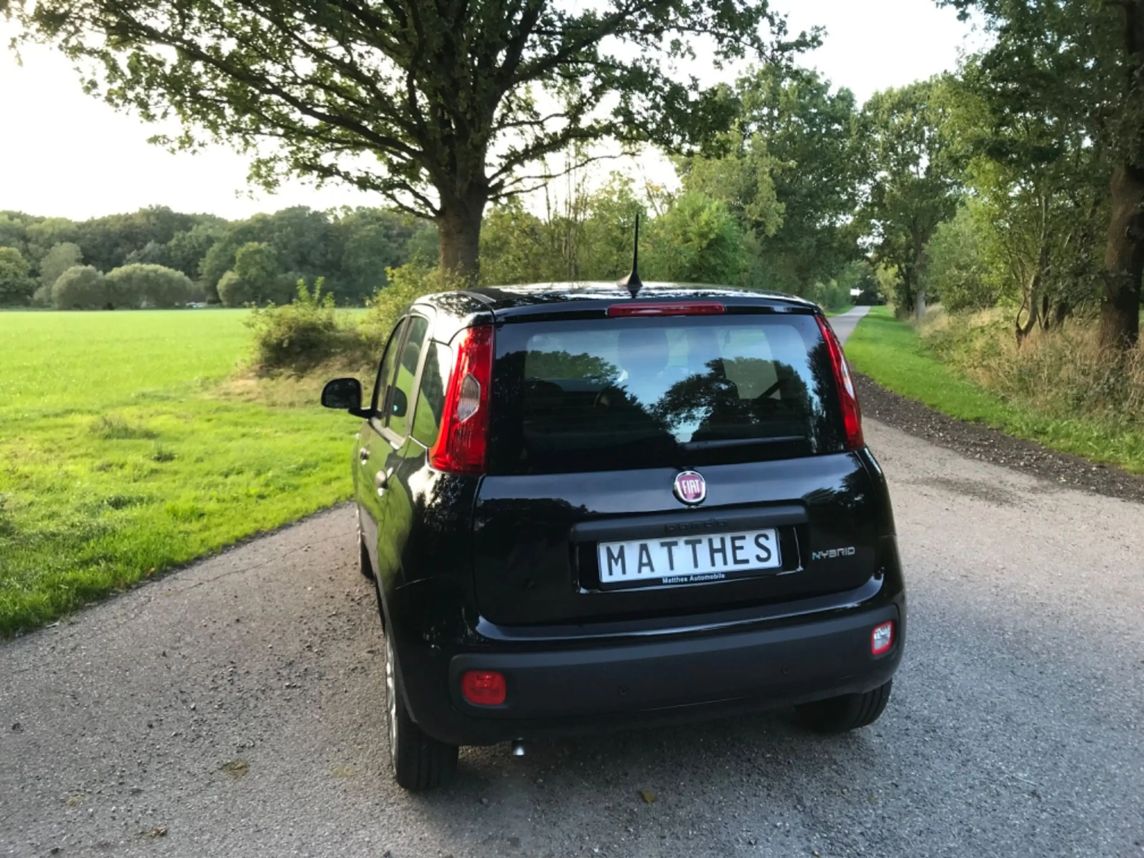 Fiat Panda Pandina 1.0 Hybrid  150 Kilomter!! — photo 6