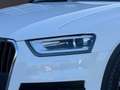 Audi Q3 2.0 TDI quattro | ALLRAD | AUTOMATIK Weiß - thumbnail 7