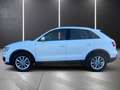 Audi Q3 2.0 TDI quattro | ALLRAD | AUTOMATIK Weiß - thumbnail 3