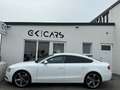 Audi A5 2,0 TDI AUTOMATIK Blanco - thumbnail 6