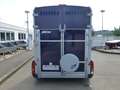 Ifor Williams HB 511 Frontausstieg Großpferde 2,7 t Blau - thumbnail 18