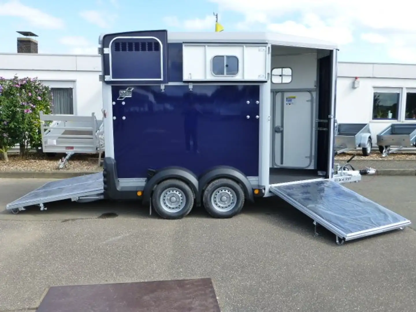 Ifor Williams HB 511 Frontausstieg Großpferde 2,7 t Blau - 1