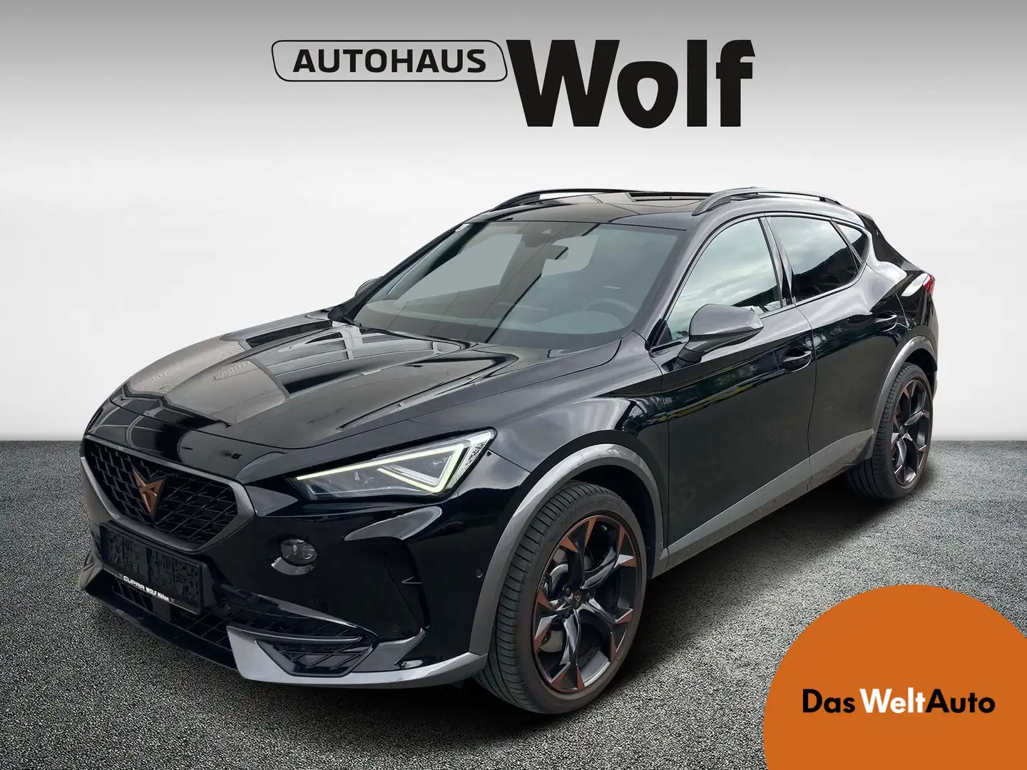 CUPRA Formentor TRIBE VZ 2.0 TSI DSG 4Drive Negro - 1