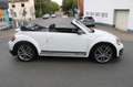 Volkswagen Beetle Cabriolet R-Line Kamera EURO 6 Weiß - thumbnail 7