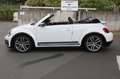 Volkswagen Beetle Cabriolet R-Line Kamera EURO 6 Weiß - thumbnail 11
