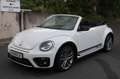 Volkswagen Beetle Cabriolet R-Line Kamera EURO 6 Weiß - thumbnail 1