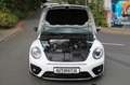 Volkswagen Beetle Cabriolet R-Line Kamera EURO 6 Weiß - thumbnail 27