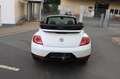 Volkswagen Beetle Cabriolet R-Line Kamera EURO 6 Weiß - thumbnail 9