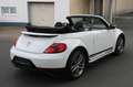 Volkswagen Beetle Cabriolet R-Line Kamera EURO 6 Weiß - thumbnail 8