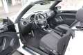 Volkswagen Beetle Cabriolet R-Line Kamera EURO 6 Weiß - thumbnail 4