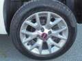 Fiat Panda 0.9 TWIN AIR TURBO 4x4 S$S  VAN  2  POSTI  EU. 6 Bianco - thumbnail 12