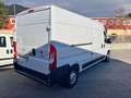 Fiat Ducato 2.3 MJT 140CV PLM-TA L3H2 Furgone Maxi +IVA Bianco - thumbnail 4