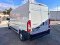 Fiat Ducato 2.3 MJT 140CV PLM-TA L3H2 Furgone Maxi +IVA Bianco - thumbnail 6