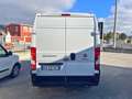Fiat Ducato 2.3 MJT 140CV PLM-TA L3H2 Furgone Maxi +IVA Bianco - thumbnail 5
