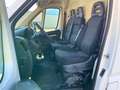 Fiat Ducato 2.3 MJT 140CV PLM-TA L3H2 Furgone Maxi +IVA Bianco - thumbnail 10