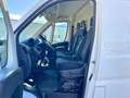 Fiat Ducato 2.3 MJT 140CV PLM-TA L3H2 Furgone Maxi +IVA Bianco - thumbnail 9