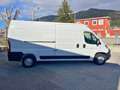 Fiat Ducato 2.3 MJT 140CV PLM-TA L3H2 Furgone Maxi +IVA Bianco - thumbnail 3