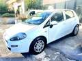 Fiat Punto Evo Punto EVO  1.2  8V  5P Lounge (51Kw) Wit - thumbnail 2