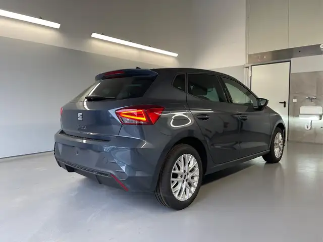 Seat Ibiza view 4