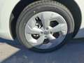 Suzuki Swift 1.2 Hybrid Shine LED+Navi+SHZ+Kam.+KeyLess Weiß - thumbnail 10