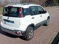 Fiat Panda 1.3 mjt 16v Cross 4x4 s&s 95cv Bianco - thumbnail 12